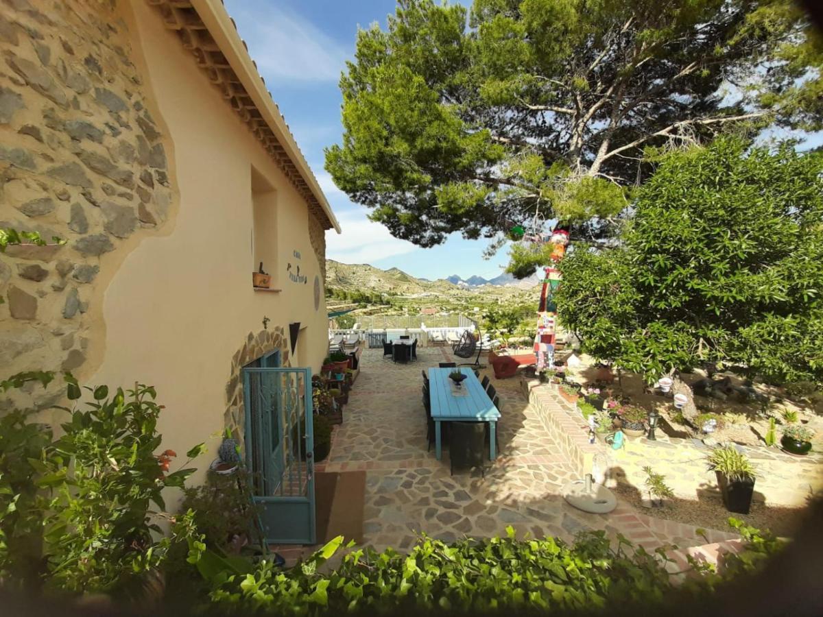 Relleu Casa Pura Vida Bed & Breakfast エクステリア 写真
