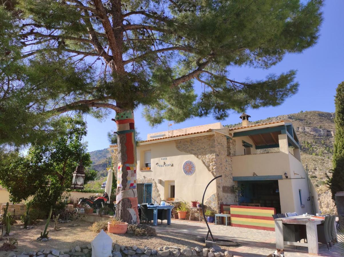 Relleu Casa Pura Vida Bed & Breakfast エクステリア 写真