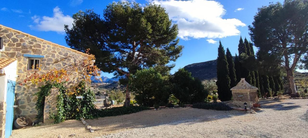 Relleu Casa Pura Vida Bed & Breakfast エクステリア 写真
