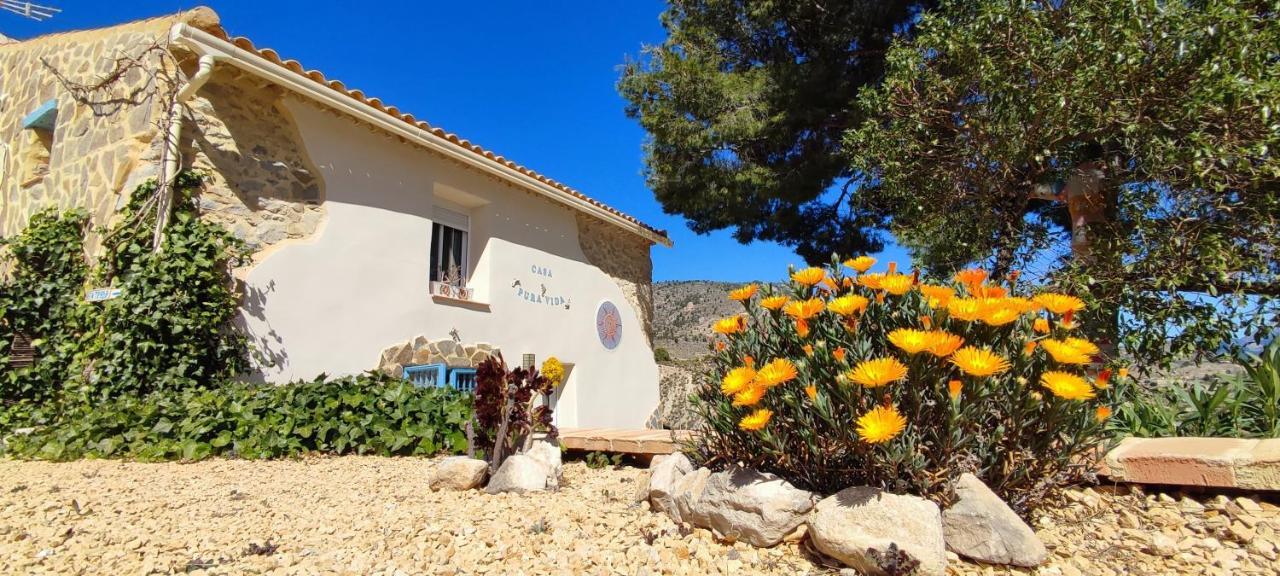 Relleu Casa Pura Vida Bed & Breakfast エクステリア 写真