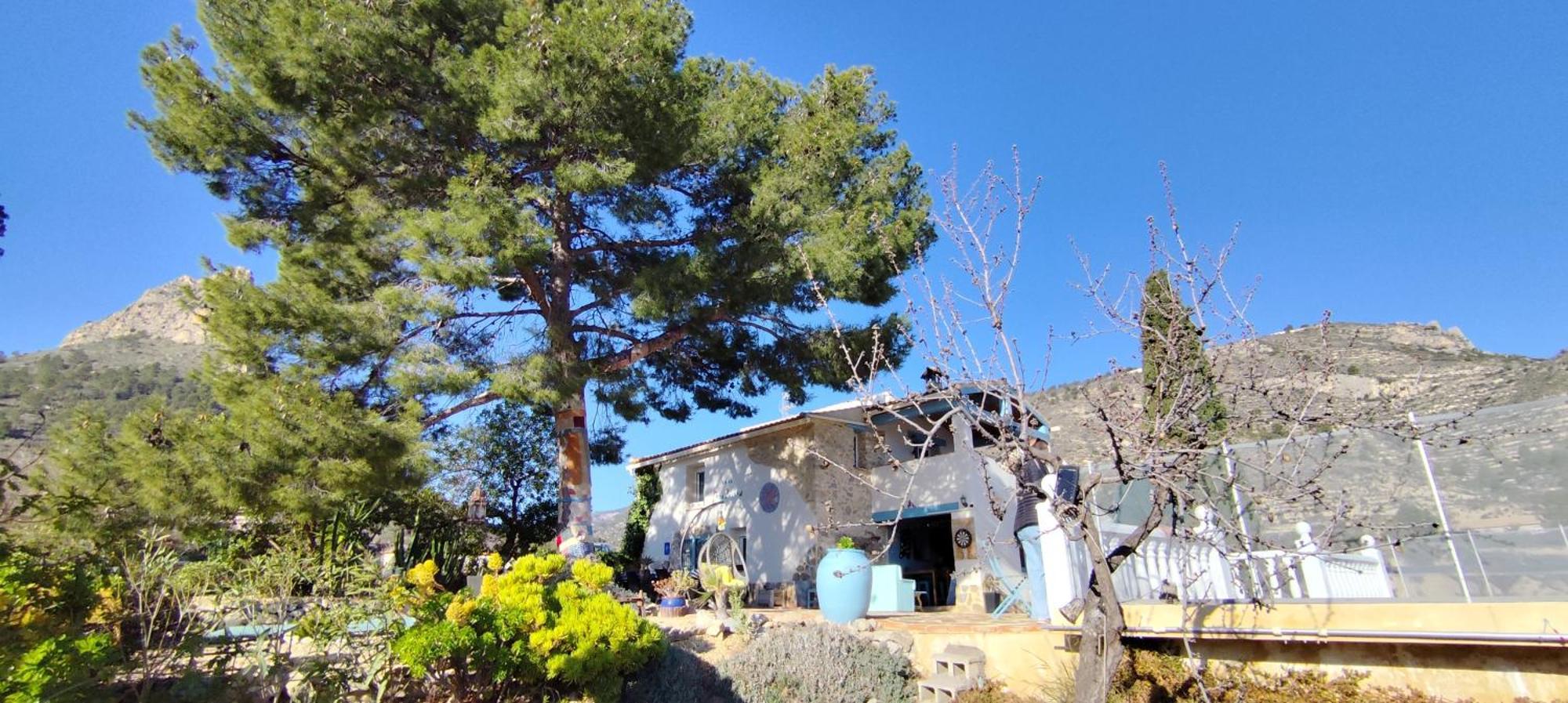 Relleu Casa Pura Vida Bed & Breakfast エクステリア 写真