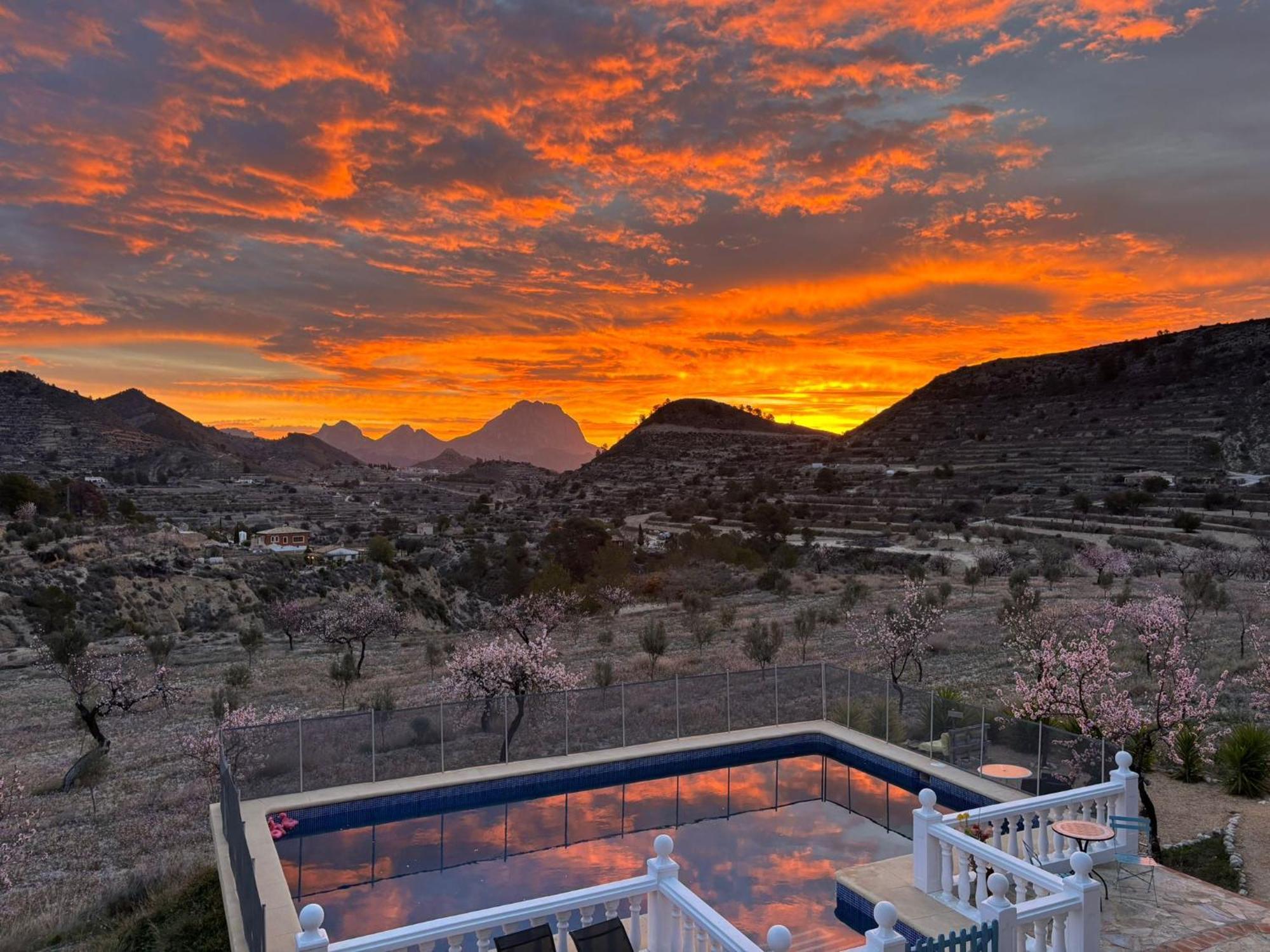 Relleu Casa Pura Vida Bed & Breakfast エクステリア 写真